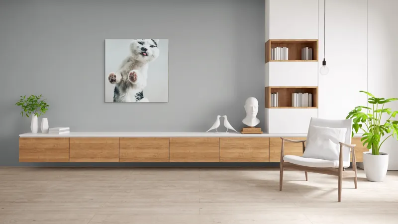 Tablou Canvas, "Pisică jucăușă în aer senin", Pisică, Blăniță, Lăbuțe, Expresie, Jucăușă, Fundal, Deschis, Amuzantă., 100 x 100 cm – poza 8