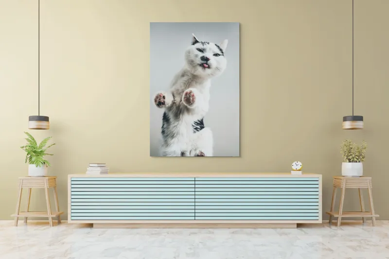 Tablou Canvas, "Pisică jucăușă în aer senin", Pisică, Blăniță, Lăbuțe, Expresie, Jucăușă, Fundal, Deschis, Amuzantă., 100 x 150 cm – poza 4