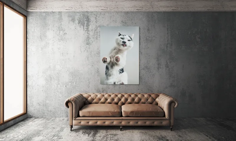 Tablou Canvas, "Pisică jucăușă în aer senin", Pisică, Blăniță, Lăbuțe, Expresie, Jucăușă, Fundal, Deschis, Amuzantă., 100 x 150 cm – poza 6