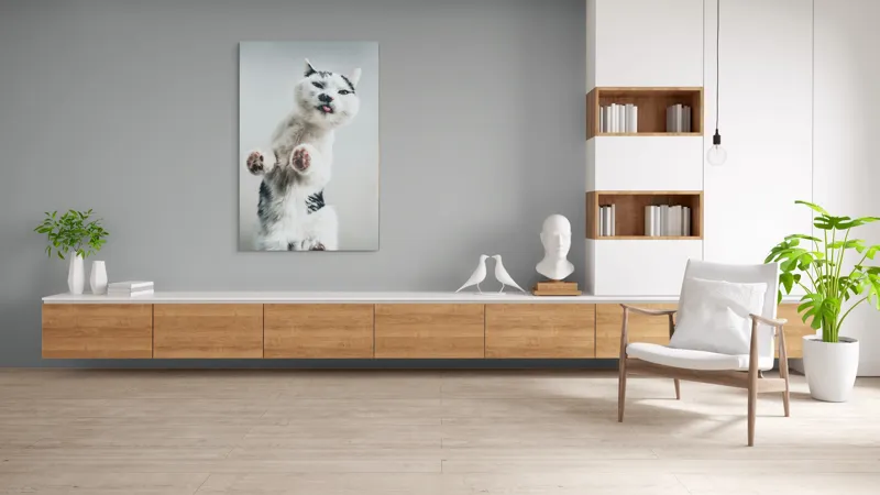 Tablou Canvas, "Pisică jucăușă în aer senin", Pisică, Blăniță, Lăbuțe, Expresie, Jucăușă, Fundal, Deschis, Amuzantă., 100 x 150 cm – poza 8