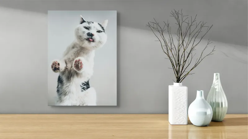 Tablou Canvas, "Pisică jucăușă în aer senin", Pisică, Blăniță, Lăbuțe, Expresie, Jucăușă, Fundal, Deschis, Amuzantă., 39 x 54 cm – poza 4