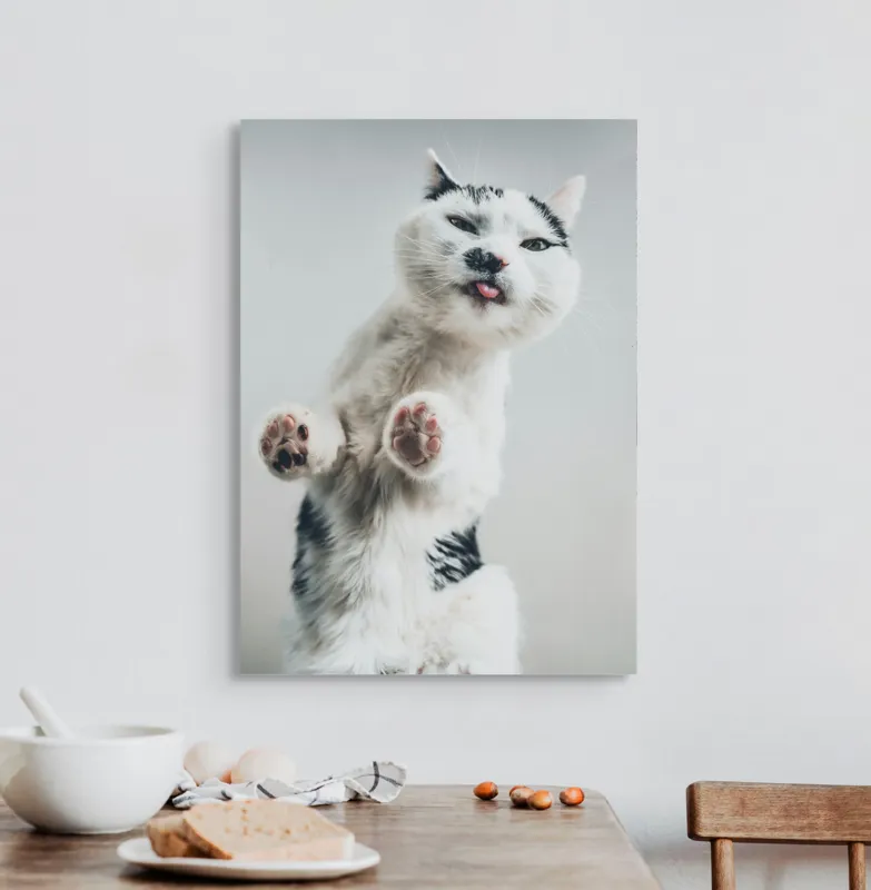 Tablou Canvas, "Pisică jucăușă în aer senin", Pisică, Blăniță, Lăbuțe, Expresie, Jucăușă, Fundal, Deschis, Amuzantă., 50 x 70 cm – poza 3