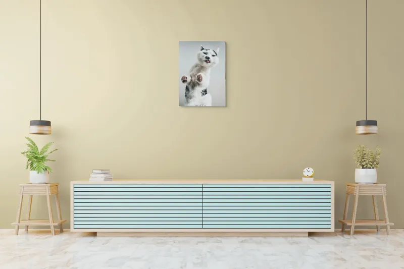 Tablou Canvas, "Pisică jucăușă în aer senin", Pisică, Blăniță, Lăbuțe, Expresie, Jucăușă, Fundal, Deschis, Amuzantă., 50 x 70 cm – poza 6