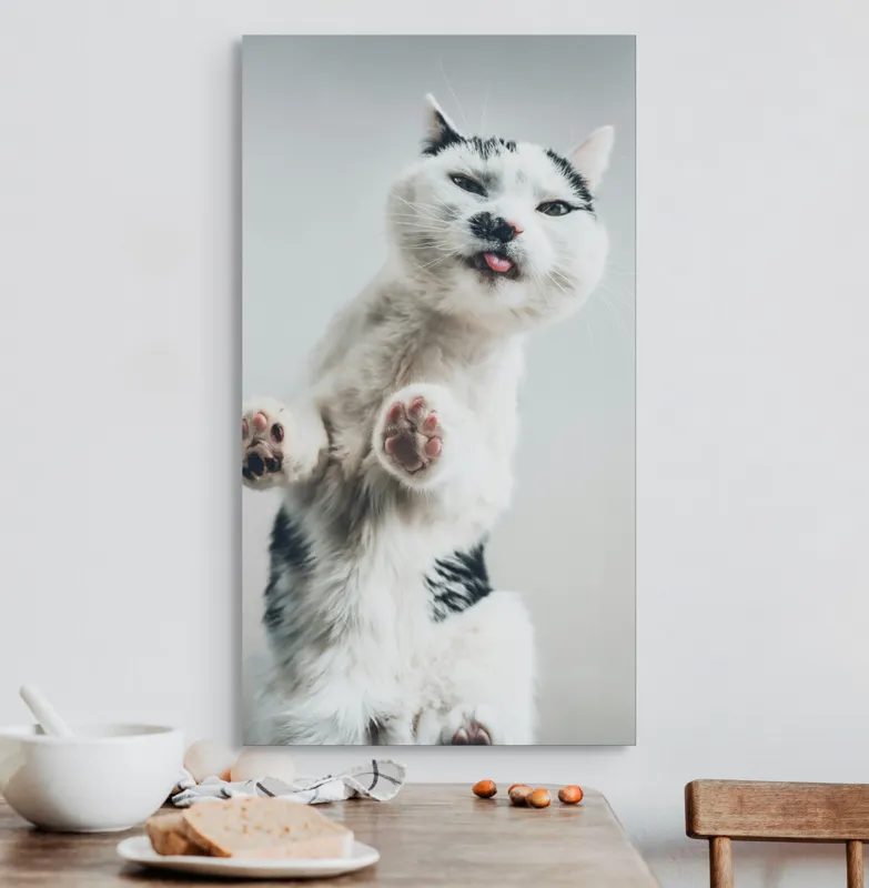 Tablou Canvas, "Pisică jucăușă în aer senin", Pisică, Blăniță, Lăbuțe, Expresie, Jucăușă, Fundal, Deschis, Amuzantă., 50 x 90 cm – poza 3
