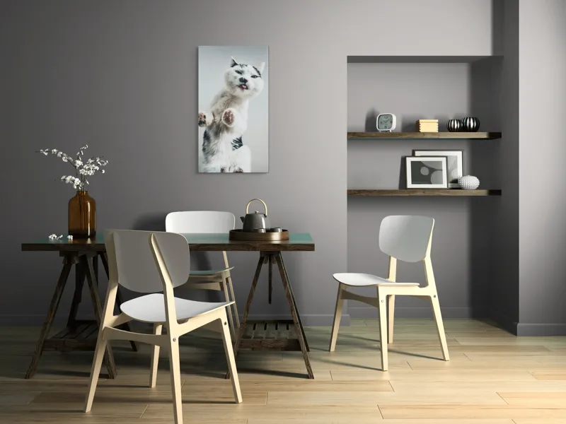Tablou Canvas, "Pisică jucăușă în aer senin", Pisică, Blăniță, Lăbuțe, Expresie, Jucăușă, Fundal, Deschis, Amuzantă., 50 x 90 cm – poza 4
