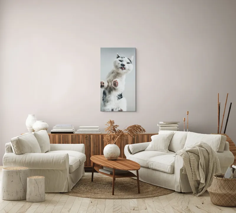 Tablou Canvas, "Pisică jucăușă în aer senin", Pisică, Blăniță, Lăbuțe, Expresie, Jucăușă, Fundal, Deschis, Amuzantă., 50 x 90 cm – poza 7