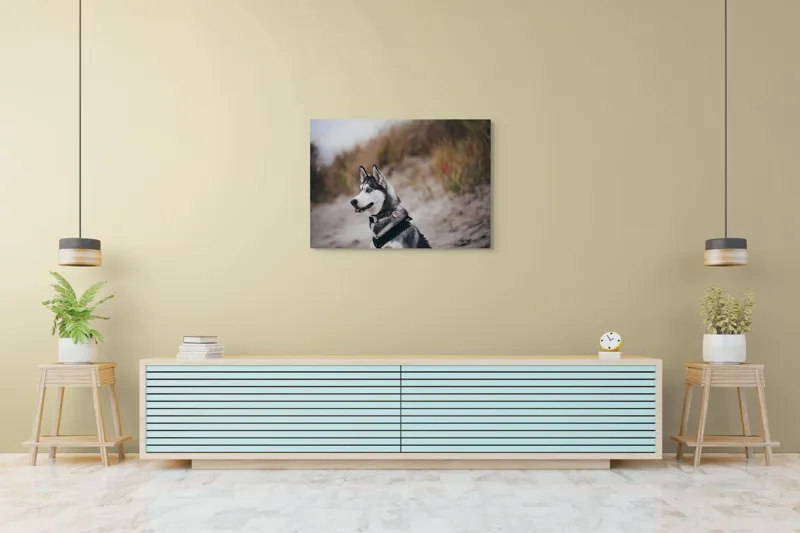 Tablou Canvas, "Husky contemplând peisajul de toamnă", Câine, Husky, Plajă, Nisip, Vegetație, Cer, Vânt, Natură, Peisaj, Ochi Albaștri, 100 x 70 cm – poza 4