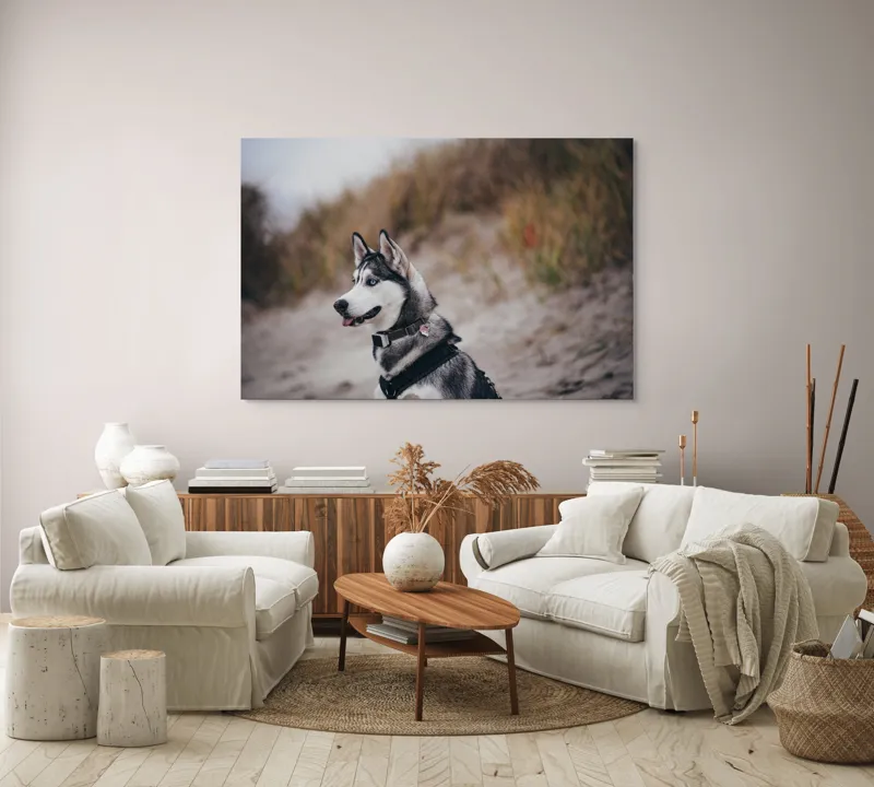Tablou Canvas, "Husky contemplând peisajul de toamnă", Câine, Husky, Plajă, Nisip, Vegetație, Cer, Vânt, Natură, Peisaj, Ochi Albaștri, 150 x 100 cm – poza 3