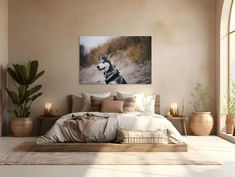 Tablou Canvas, "Husky contemplând peisajul de toamnă", Câine, Husky, Plajă, Nisip, Vegetație, Cer, Vânt, Natură, Peisaj, Ochi Albaștri, 150 x 100 cm – poza 4