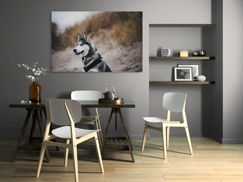 Tablou Canvas, "Husky contemplând peisajul de toamnă", Câine, Husky, Plajă, Nisip, Vegetație, Cer, Vânt, Natură, Peisaj, Ochi Albaștri, 150 x 100 cm – poza 5