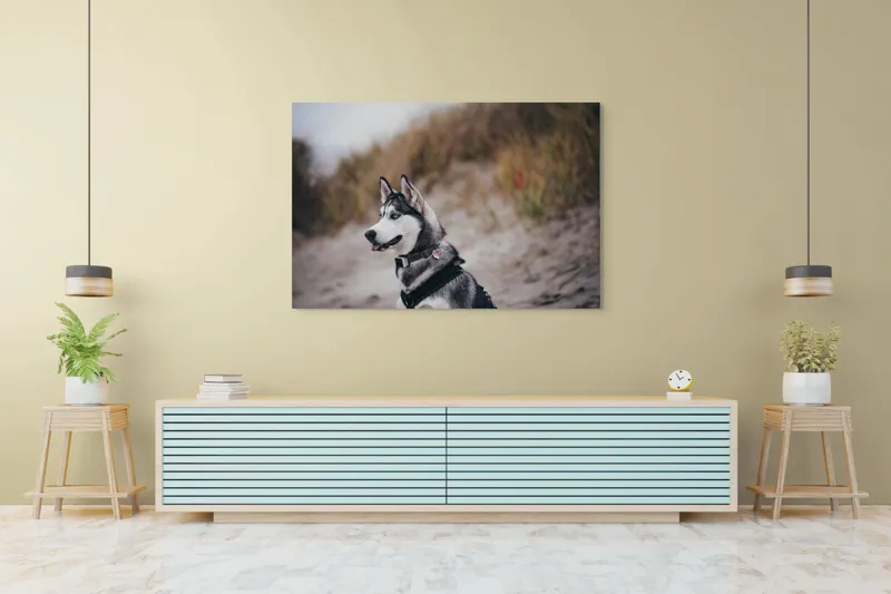 Tablou Canvas, "Husky contemplând peisajul de toamnă", Câine, Husky, Plajă, Nisip, Vegetație, Cer, Vânt, Natură, Peisaj, Ochi Albaștri, 150 x 100 cm – poza 6