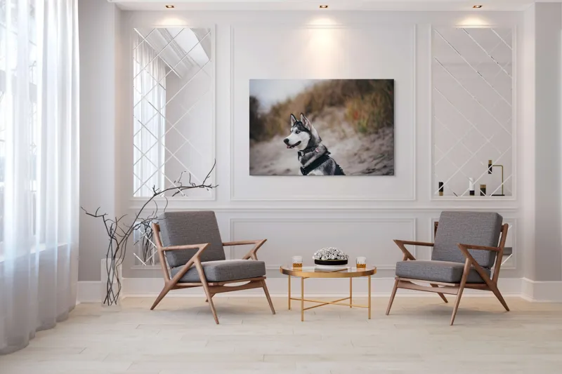 Tablou Canvas, "Husky contemplând peisajul de toamnă", Câine, Husky, Plajă, Nisip, Vegetație, Cer, Vânt, Natură, Peisaj, Ochi Albaștri, 150 x 100 cm – poza 7