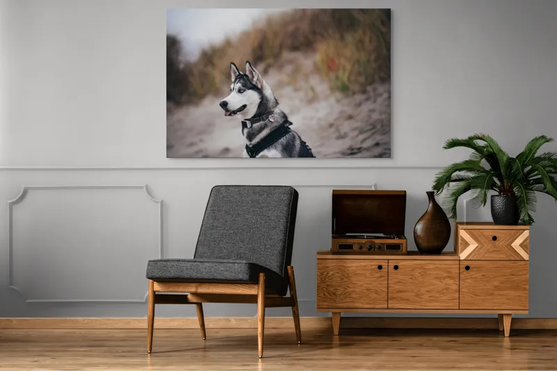 Tablou Canvas, "Husky contemplând peisajul de toamnă", Câine, Husky, Plajă, Nisip, Vegetație, Cer, Vânt, Natură, Peisaj, Ochi Albaștri, 150 x 100 cm – poza 8