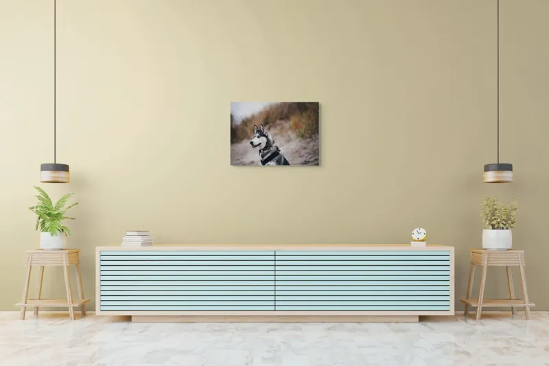 Tablou Canvas, "Husky contemplând peisajul de toamnă", Câine, Husky, Plajă, Nisip, Vegetație, Cer, Vânt, Natură, Peisaj, Ochi Albaștri, 70 x 50 cm – poza 7