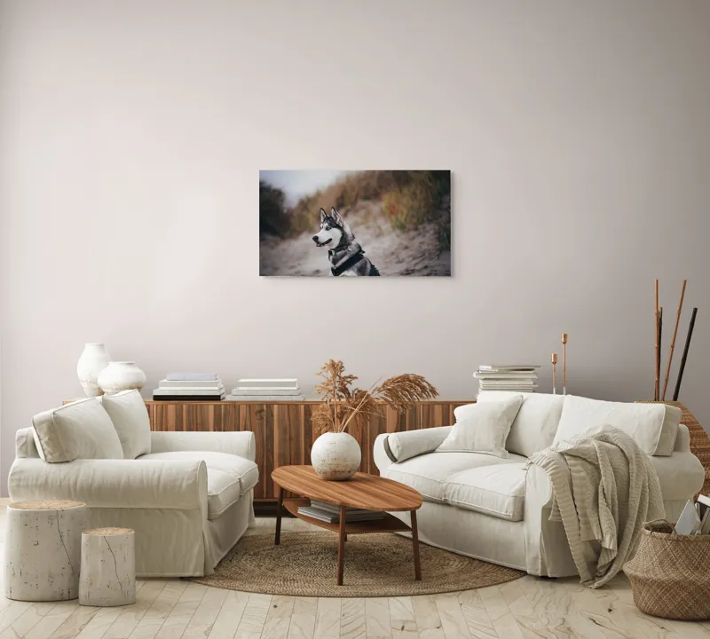 Tablou Canvas, "Husky contemplând peisajul de toamnă", Câine, Husky, Plajă, Nisip, Vegetație, Cer, Vânt, Natură, Peisaj, Ochi Albaștri, 90 x 50 cm – poza 4
