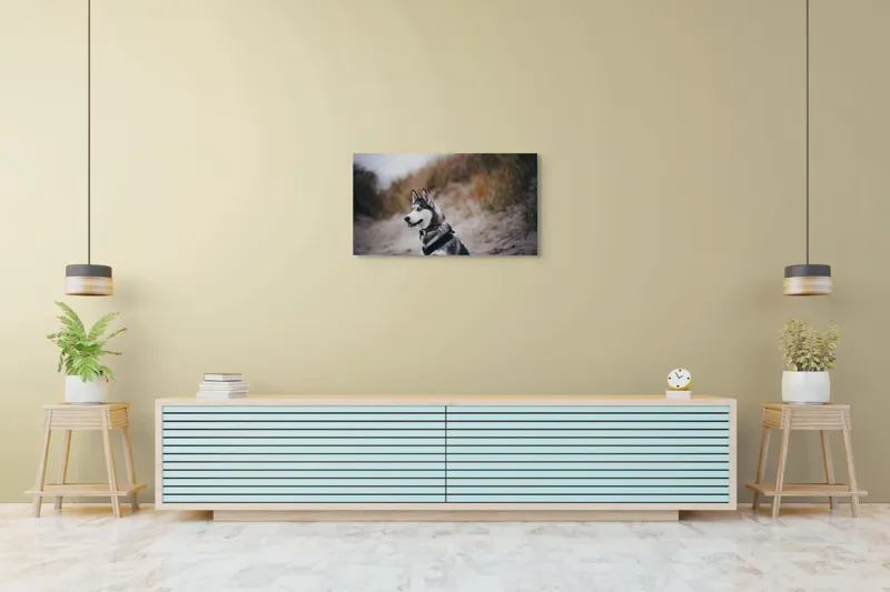 Tablou Canvas, "Husky contemplând peisajul de toamnă", Câine, Husky, Plajă, Nisip, Vegetație, Cer, Vânt, Natură, Peisaj, Ochi Albaștri, 90 x 50 cm – poza 5