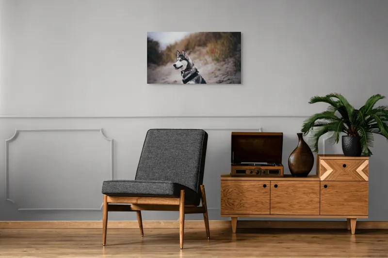 Tablou Canvas, "Husky contemplând peisajul de toamnă", Câine, Husky, Plajă, Nisip, Vegetație, Cer, Vânt, Natură, Peisaj, Ochi Albaștri, 90 x 50 cm – poza 6