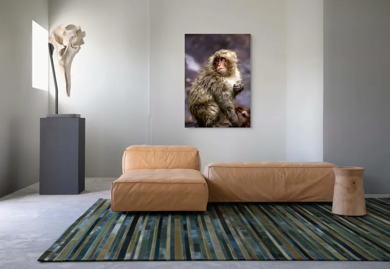 Tablou Canvas, "Maimuța în ploaia de primăvară", Fermecător, Umed, Blând, Meditativ, Inspirat, Misterios, Privește, Natural, Pitoresc, Remarcabil, 70 x 100 cm – poza 7