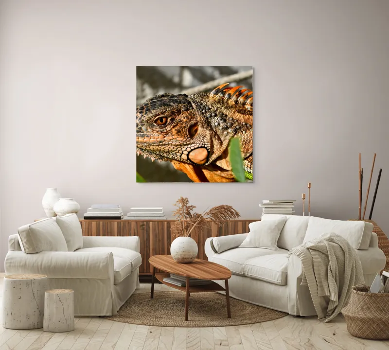 Tablou Canvas, "Iguana în razele soarelui de dimineață", Iguana, Solzi, Textură, Verdeață, Soare, Animal, Faună, Detalii, Reptilă, Tighel., 100 x 100 cm – poza 3