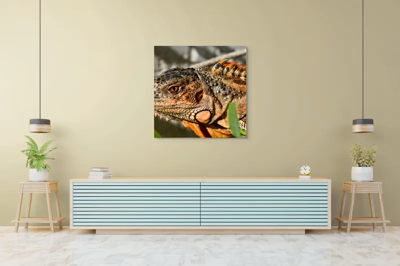 Tablou Canvas, "Iguana în razele soarelui de dimineață", Iguana, Solzi, Textură, Verdeață, Soare, Animal, Faună, Detalii, Reptilă, Tighel., 100 x 100 cm – poza 5
