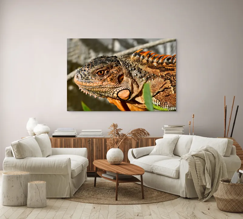 Tablou Canvas, "Iguana în razele soarelui de dimineață", Iguana, Solzi, Textură, Verdeață, Soare, Animal, Faună, Detalii, Reptilă, Tighel., 150 x 100 cm – poza 3