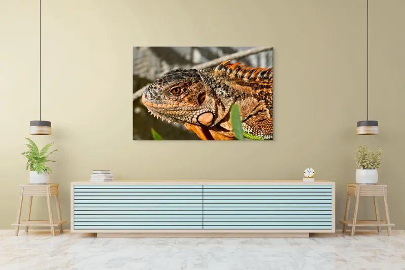 Tablou Canvas, "Iguana în razele soarelui de dimineață", Iguana, Solzi, Textură, Verdeață, Soare, Animal, Faună, Detalii, Reptilă, Tighel., 150 x 100 cm – poza 6
