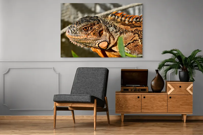 Tablou Canvas, "Iguana în razele soarelui de dimineață", Iguana, Solzi, Textură, Verdeață, Soare, Animal, Faună, Detalii, Reptilă, Tighel., 150 x 100 cm – poza 8