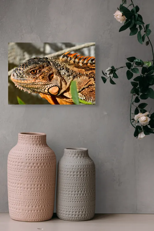 Tablou Canvas, "Iguana în razele soarelui de dimineață", Iguana, Solzi, Textură, Verdeață, Soare, Animal, Faună, Detalii, Reptilă, Tighel., 54 x 39 cm – poza 8