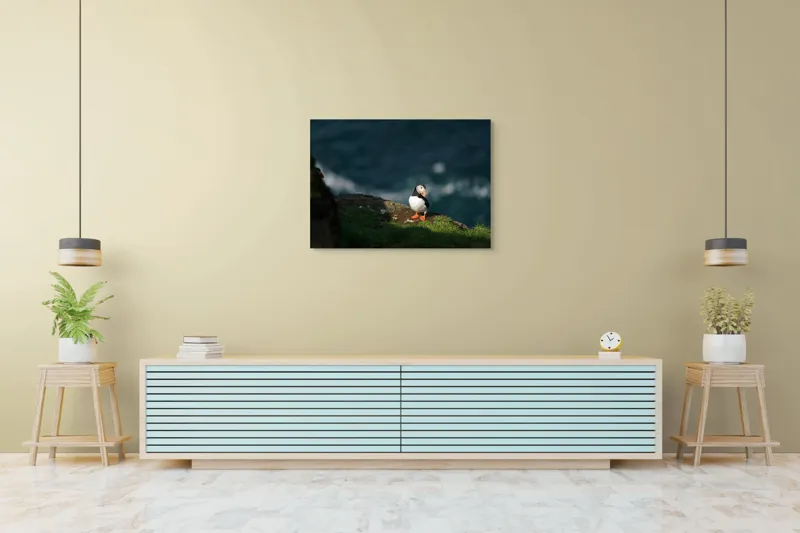 Tablou Canvas, "Puffin pe stâncă la malul mării", Puffin, Stâncă, Mare, Iarbă, Soare, Umbre, Penaj, Ocean, Peisaj, Natura, 100 x 70 cm – poza 4