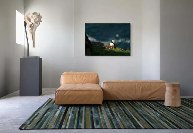 Tablou Canvas, "Puffin pe stâncă la malul mării", Puffin, Stâncă, Mare, Iarbă, Soare, Umbre, Penaj, Ocean, Peisaj, Natura, 100 x 70 cm – poza 7