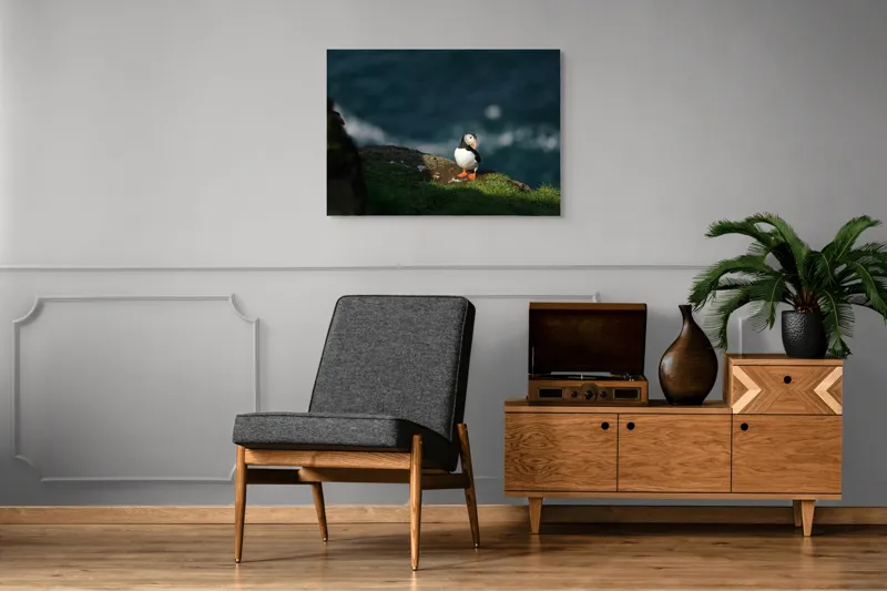 Tablou Canvas, "Puffin pe stâncă la malul mării", Puffin, Stâncă, Mare, Iarbă, Soare, Umbre, Penaj, Ocean, Peisaj, Natura, 100 x 70 cm – poza 8
