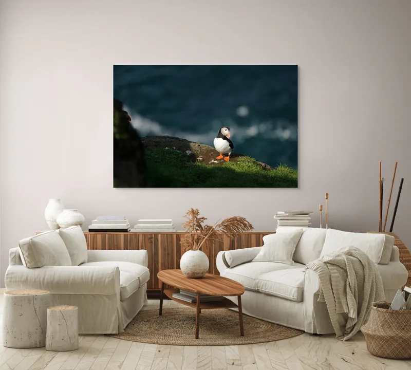 Tablou Canvas, "Puffin pe stâncă la malul mării", Puffin, Stâncă, Mare, Iarbă, Soare, Umbre, Penaj, Ocean, Peisaj, Natura, 150 x 100 cm – poza 3