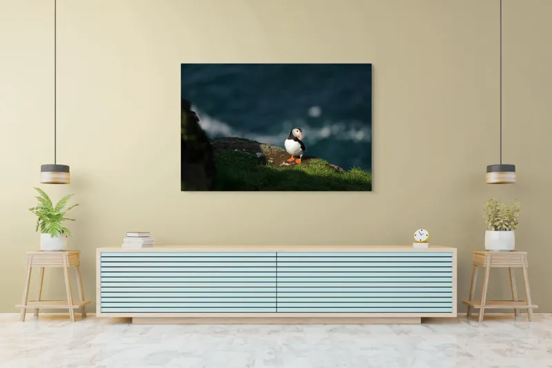 Tablou Canvas, "Puffin pe stâncă la malul mării", Puffin, Stâncă, Mare, Iarbă, Soare, Umbre, Penaj, Ocean, Peisaj, Natura, 150 x 100 cm – poza 6