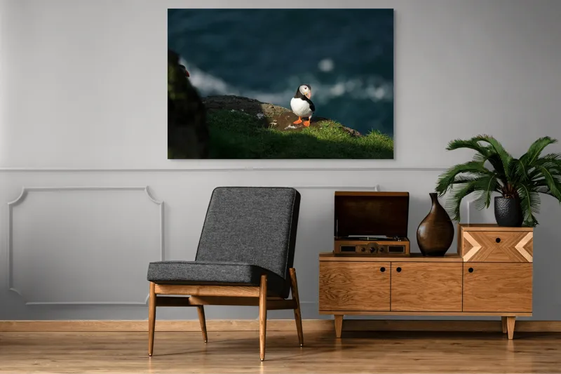 Tablou Canvas, "Puffin pe stâncă la malul mării", Puffin, Stâncă, Mare, Iarbă, Soare, Umbre, Penaj, Ocean, Peisaj, Natura, 150 x 100 cm – poza 8