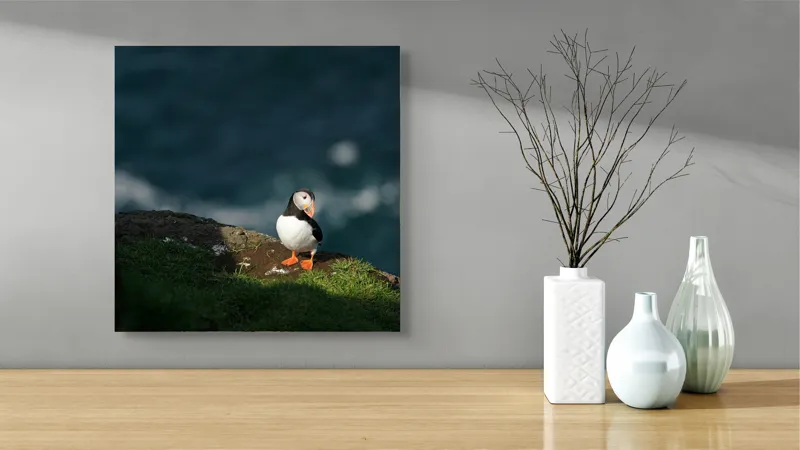 Tablou Canvas, "Puffin pe stâncă la malul mării", Puffin, Stâncă, Mare, Iarbă, Soare, Umbre, Penaj, Ocean, Peisaj, Natura, 50 x 50 cm – poza 3