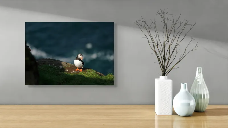 Tablou Canvas, "Puffin pe stâncă la malul mării", Puffin, Stâncă, Mare, Iarbă, Soare, Umbre, Penaj, Ocean, Peisaj, Natura, 54 x 39 cm – poza 3