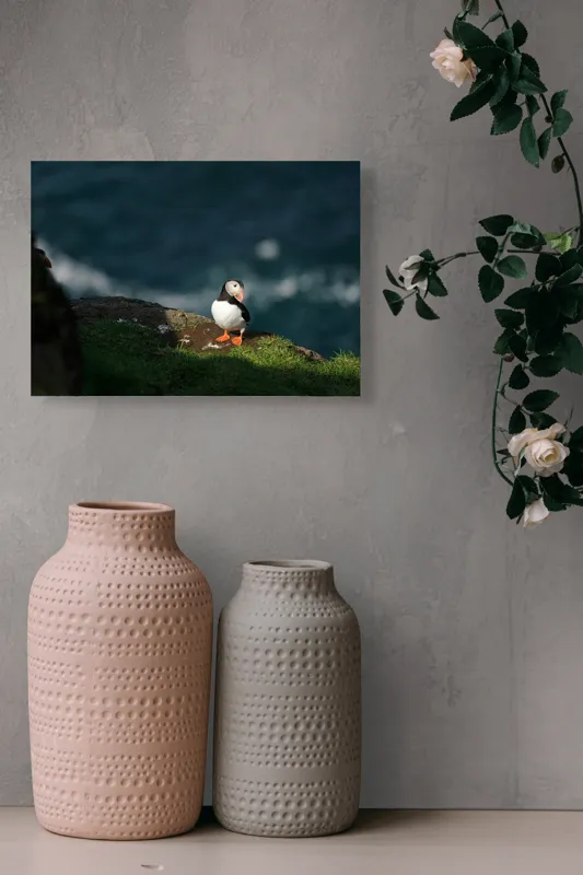 Tablou Canvas, "Puffin pe stâncă la malul mării", Puffin, Stâncă, Mare, Iarbă, Soare, Umbre, Penaj, Ocean, Peisaj, Natura, 54 x 39 cm – poza 8
