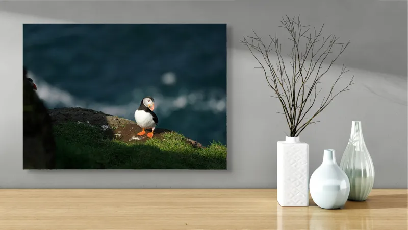 Tablou Canvas, "Puffin pe stâncă la malul mării", Puffin, Stâncă, Mare, Iarbă, Soare, Umbre, Penaj, Ocean, Peisaj, Natura, 70 x 50 cm – poza 3