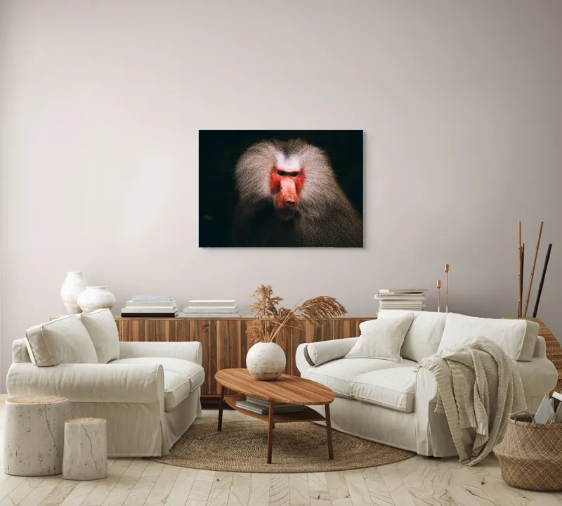Tablou Canvas, "Misteriosul paznic al junglei africane", Baboon, Majestic, Expressive, Intense, Furry, Powerful, Gazing, 100 x 70 cm – poza 3