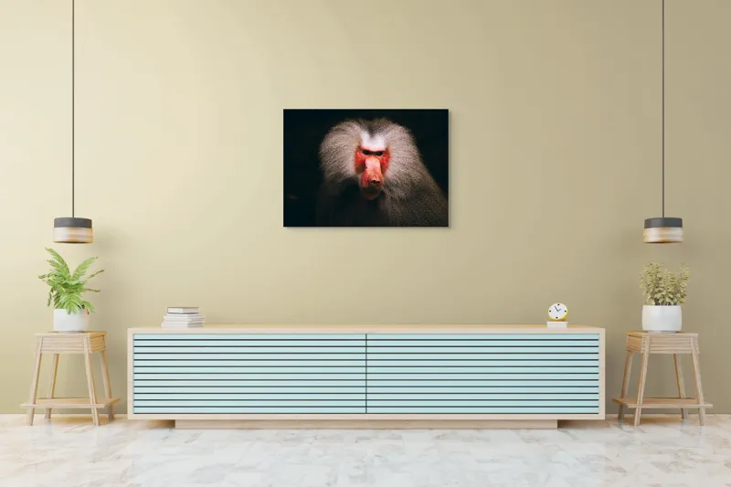 Tablou Canvas, "Misteriosul paznic al junglei africane", Baboon, Majestic, Expressive, Intense, Furry, Powerful, Gazing, 100 x 70 cm – poza 4