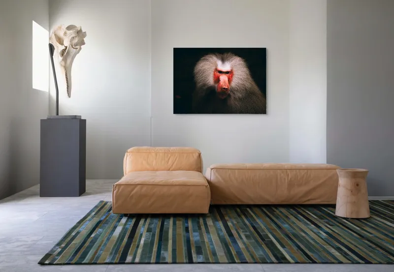 Tablou Canvas, "Misteriosul paznic al junglei africane", Baboon, Majestic, Expressive, Intense, Furry, Powerful, Gazing, 100 x 70 cm – poza 7