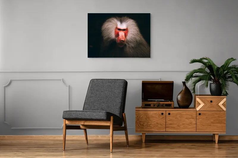 Tablou Canvas, "Misteriosul paznic al junglei africane", Baboon, Majestic, Expressive, Intense, Furry, Powerful, Gazing, 100 x 70 cm – poza 8