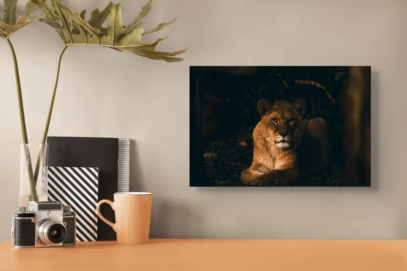 Tablou Canvas, "Regina în liniștea nopții africane", Puternic, Regal, Majestic, Vultur, Noapte, Reflexie, Serenitate, Forta, 39 x 26 cm – poza 3