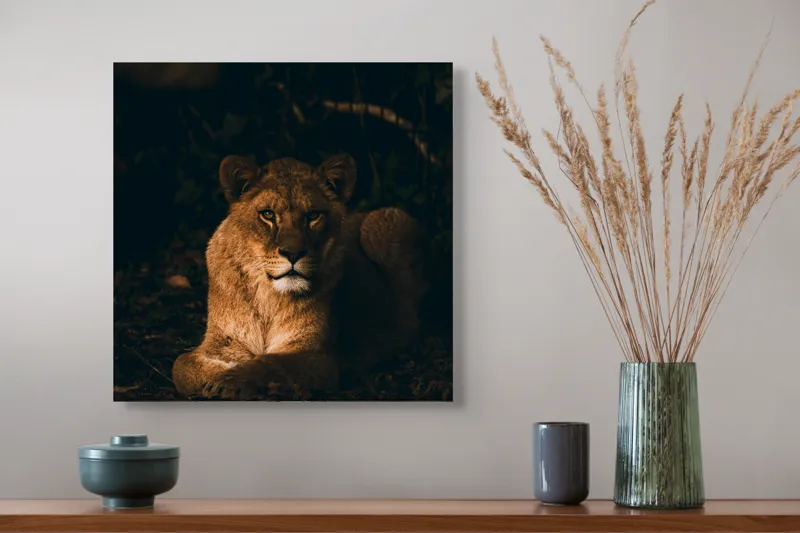 Tablou Canvas, "Regina în liniștea nopții africane", Puternic, Regal, Majestic, Vultur, Noapte, Reflexie, Serenitate, Forta, 50 x 50 cm – poza 4