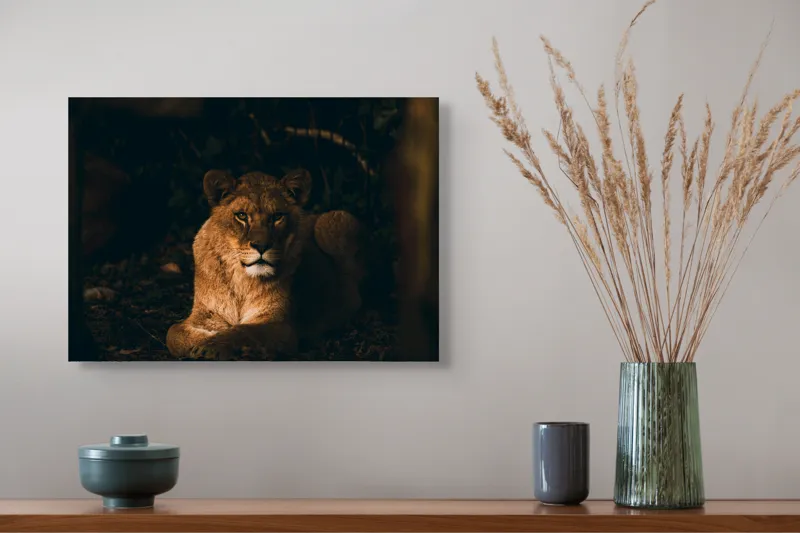 Tablou Canvas, "Regina în liniștea nopții africane", Puternic, Regal, Majestic, Vultur, Noapte, Reflexie, Serenitate, Forta, 54 x 39 cm – poza 4