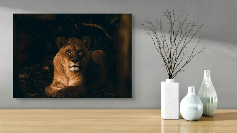 Tablou Canvas, "Regina în liniștea nopții africane", Puternic, Regal, Majestic, Vultur, Noapte, Reflexie, Serenitate, Forta, 70 x 50 cm – poza 3