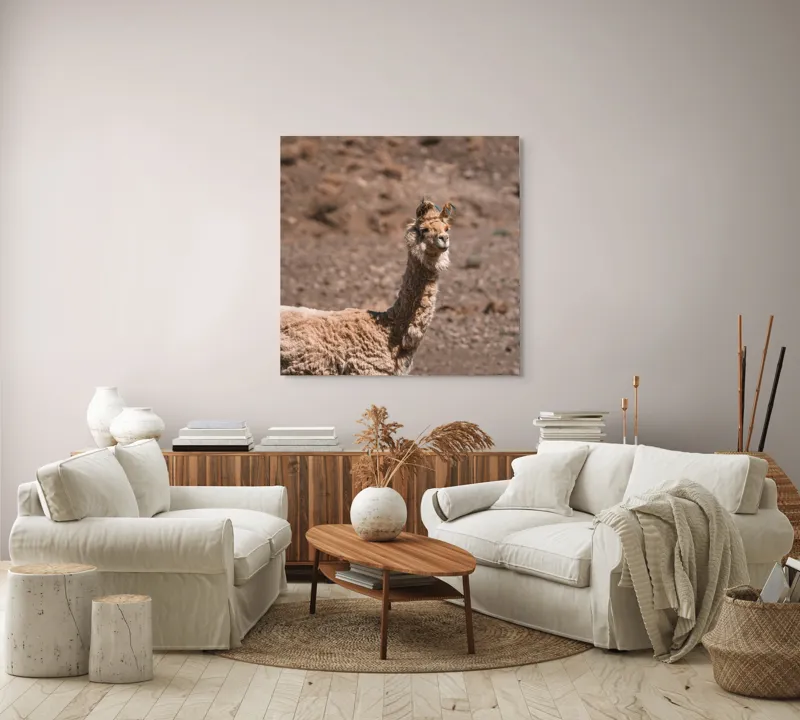 Tablou Canvas, "Lama în deșertul pietros al Anzilor", Nu pot să spun cine sau ce este în imagine., 100 x 100 cm – poza 3