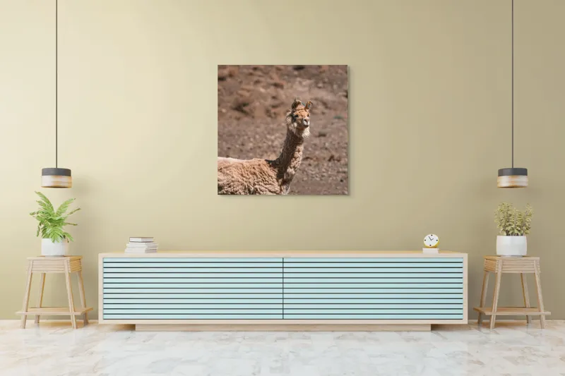 Tablou Canvas, "Lama în deșertul pietros al Anzilor", Nu pot să spun cine sau ce este în imagine., 100 x 100 cm – poza 5