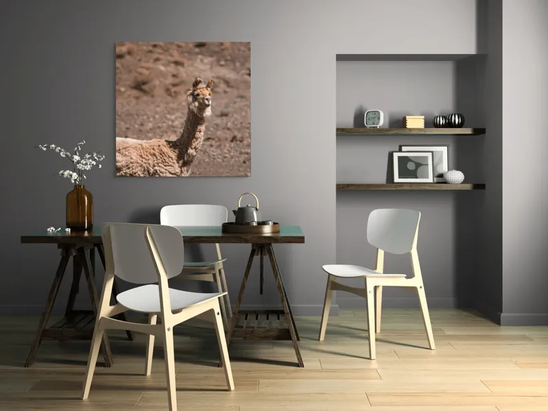 Tablou Canvas, "Lama în deșertul pietros al Anzilor", Nu pot să spun cine sau ce este în imagine., 100 x 100 cm – poza 6