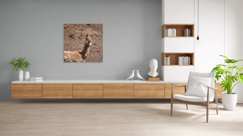 Tablou Canvas, "Lama în deșertul pietros al Anzilor", Nu pot să spun cine sau ce este în imagine., 100 x 100 cm – poza 8
